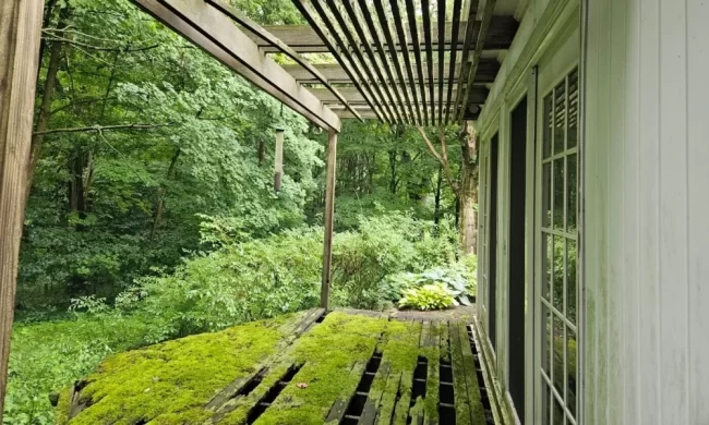 Before view of old deteriorated deck with moss-covered boards and open gaps prior to deck replacement